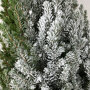 Spuitsneeuw 600 ml